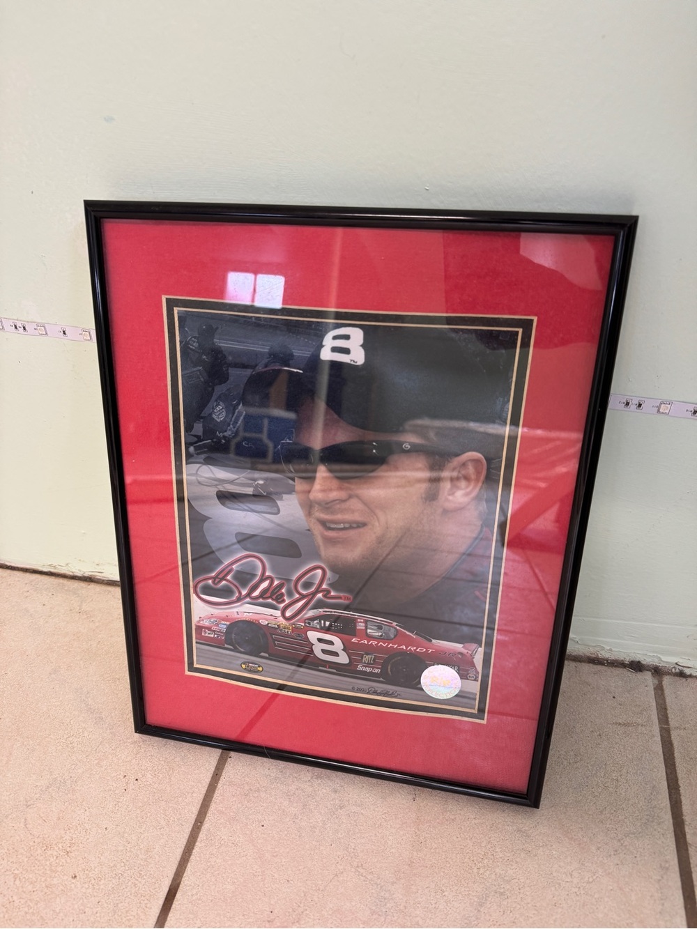 Dale Earnhardt Jr Frame